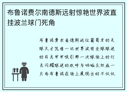 布鲁诺费尔南德斯远射惊艳世界波直挂波兰球门死角